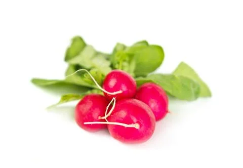 Fresh radish Stock Photos