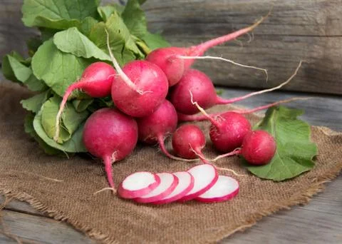 Fresh radish Stock Photos