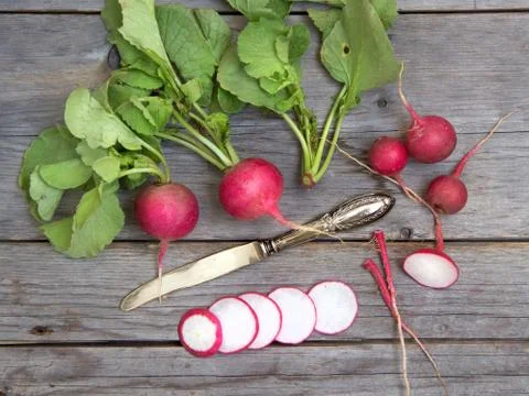 Fresh radish Stock Photos