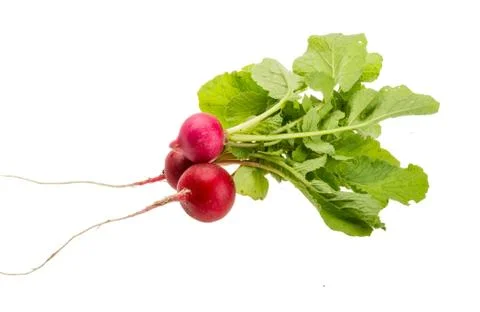 Fresh radish Stock Photos