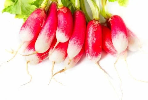 Fresh radish Stock Photos