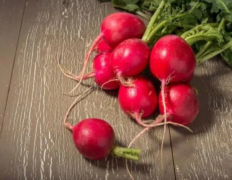 Fresh radish Stockfoto's