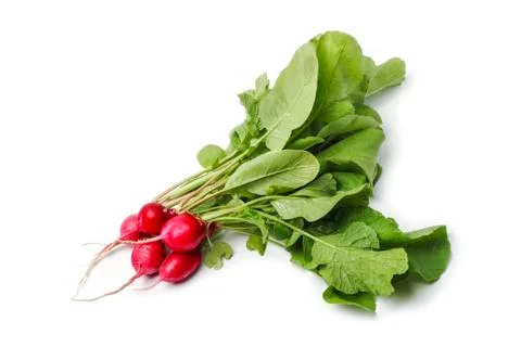 Fresh radish Stock Photos