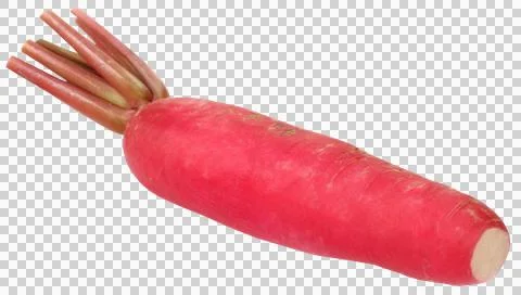 Fresh radish Stock Photos