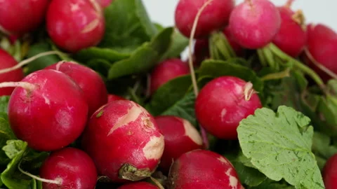 Fresh Radishes Stock Footage 169733197