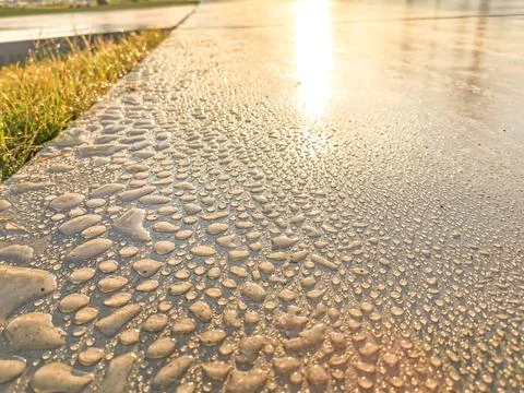 Fresh rain drops on a walking path at a public park Foto stock