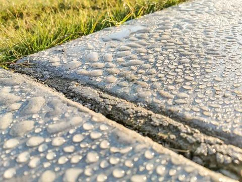 Fresh rain drops on a walking path at a public park Stock Photos