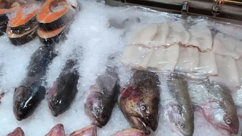 Fresh rainbow trout on ice in a refrigerator of a store or supermarket close-up Stock Footage 308018577