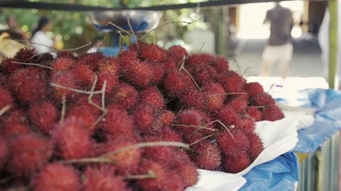 Fresh rambutan fruit, lychee fruit on market, Asia, Sri Lanka Stock Footage 73287448