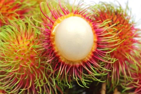 Fresh rambutan Stock Photos