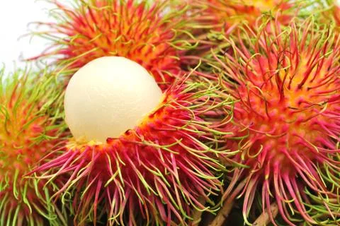 Fresh rambutan Stock Photos