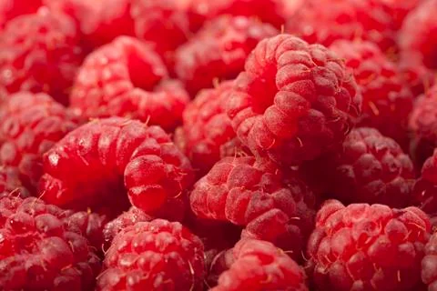 Fresh raspberries background Stock Photos