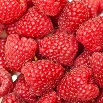 Fresh raspberries background Foto stock