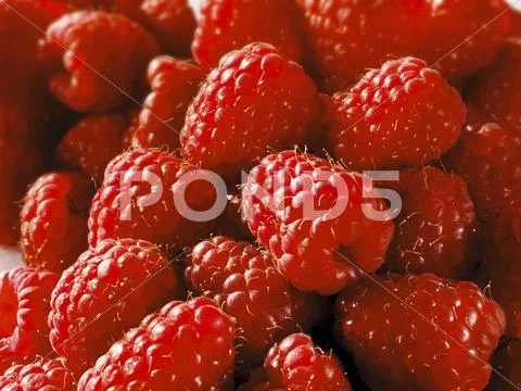 Fresh raspberries (fills the screen) Stock Photos