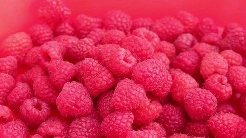 Fresh Raspberries Stock Footage 99223466