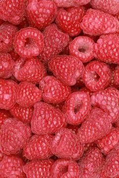 Fresh raspberries Stock Photos