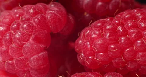 Fresh raspberries. Raspberry desktop screensaver. Fresh raspberries close-up Stock Footage 196104397