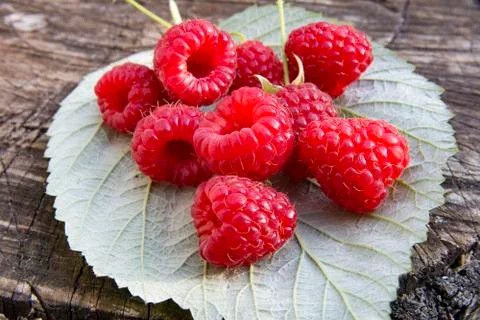 Fresh raspberries on raspberry leaf and wooden background close up Stock Photos