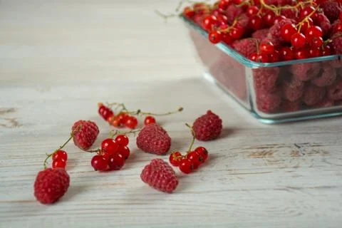 Fresh raspberry and red currant Stock Photos