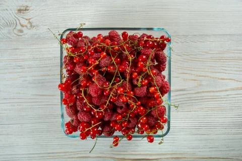 Fresh raspberry and red currant Stock Photos