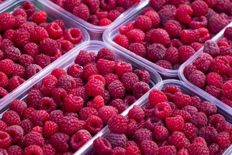 Fresh raspberry background berries in baskets at market Stock Photos