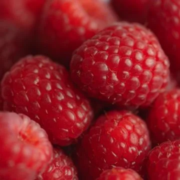 Fresh Raspberry background - macro square Stock Photos