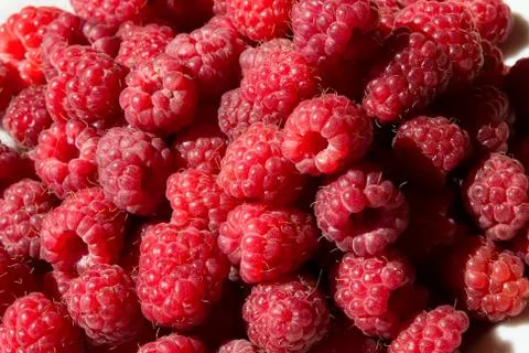 Fresh Raspberry as a background Stock Photos