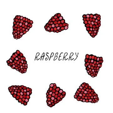 Fresh Raspberry Berries Set. Summer Harvest Collection. Realistic Hand Drawn  Stock Illustration