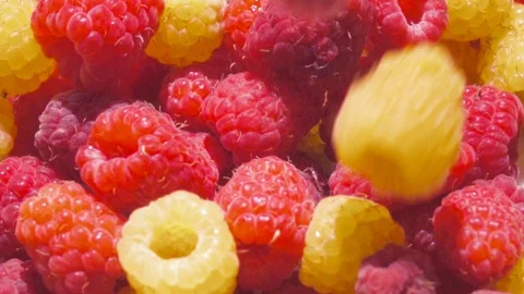 Fresh raspberry fruit Stock Footage 113422042
