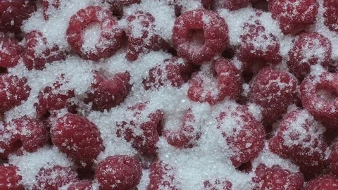 Fresh Raspberry Fruit with Sugar. Stock Footage 77042016