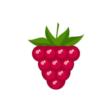 Fresh raspberry fruit vector color icon. EPS 10. Berry fruits illustration. V Stock Illustration
