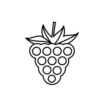Fresh raspberry fruit vector icon outline. EPS10. Berry fruits illustration. Stock Illustration