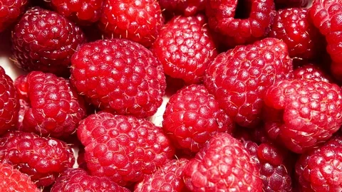 Fresh raspberry fruits as food background 4K Stock Footage