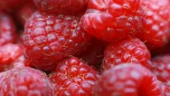 Fresh Raspberry Fruits As Food Background. Healthy Food Organic Nutrition. View Stock Footage