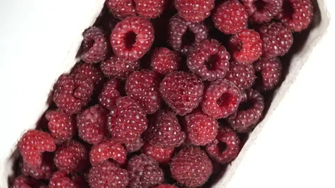 Fresh raspberry fruits rotating on white, top down view Stock Footage 94888431