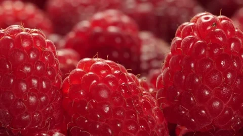 Fresh raspberry fruits with small beetle on top, close up with a sliding camera 스톡 동영상 240906495