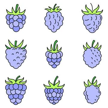 Fresh raspberry icons set vector color Stock Illustration