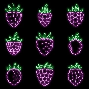 Fresh raspberry icons set vector neon Stock Illustration
