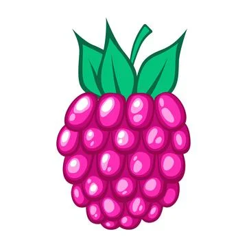 Fresh  raspberry  isolated on white background. Stock Illustration