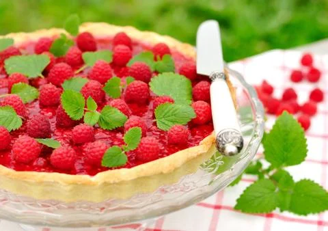 Fresh Raspberry Jelly Tart, selective focus Stock Photos