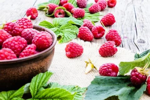 Fresh raspberry with leaves on the background of old boards. Selective focus. Stock Photos