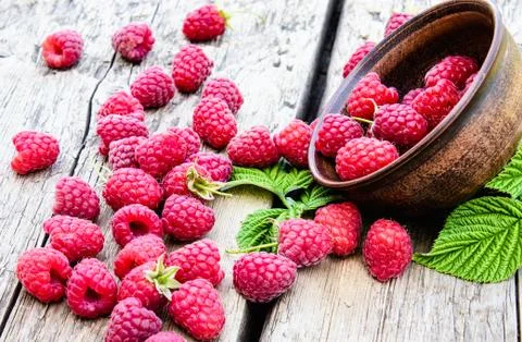 Fresh raspberry with leaves on the background of old boards. Selective focus. Stock Photos