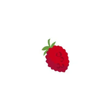 Fresh raspberry with leaves whole vector illustration, farm organic natural one Stock Illustration