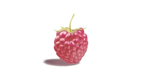 Fresh raspberry, looped rotation, isolated on white background Stock Footage 306621744