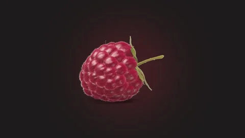 Fresh raspberry lying, looped rotation on black background Video stock 312628202