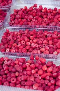 Fresh raspberry on a market in plastic box containers. Photographed at an ang Stock Photos