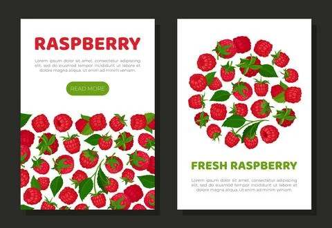 Fresh raspberry mobile app templates set. Organic ripe berries, healthy natural Stock Illustration
