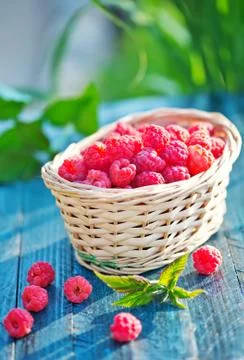 Fresh raspberry Stock Photos