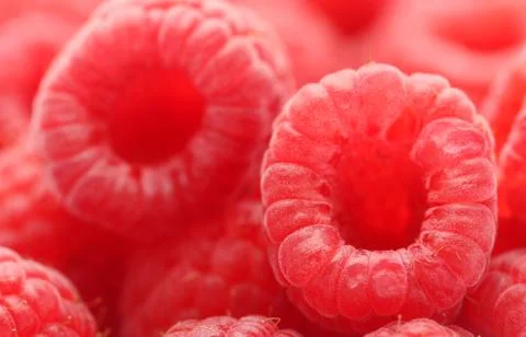 Fresh Raspberry Stock Photos