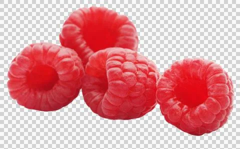 Fresh Raspberry Stock Photos